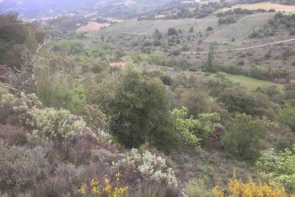 Peaceful 3 Bedroom 8 Person Ground Floor Apartment With Large Private Heated Pool La Digne-d'Amont Eksteriør bilde