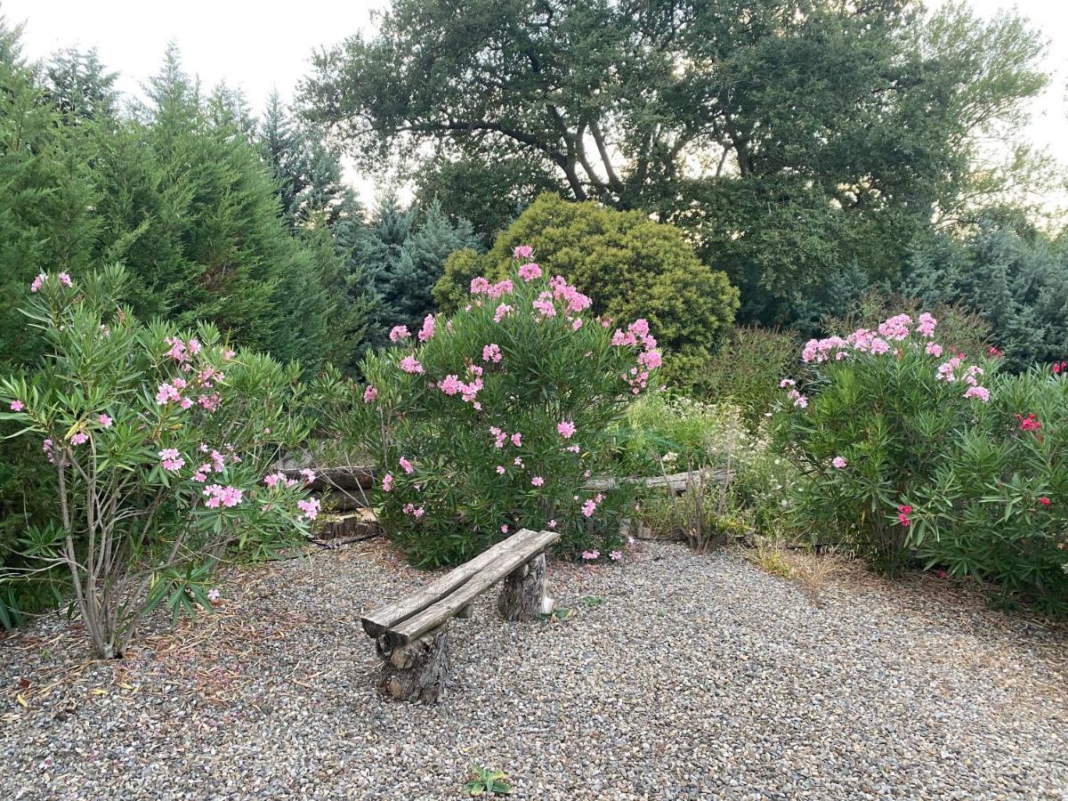 Peaceful 3 Bedroom 8 Person Ground Floor Apartment With Large Private Heated Pool La Digne-d'Amont Eksteriør bilde